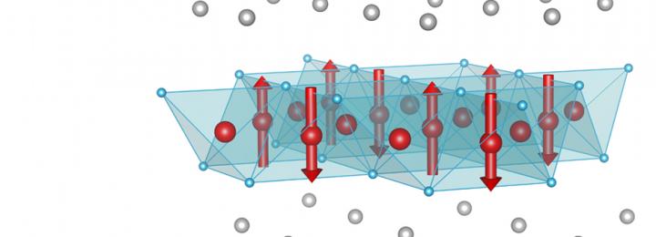 Magnetic Structure of a Superconductor