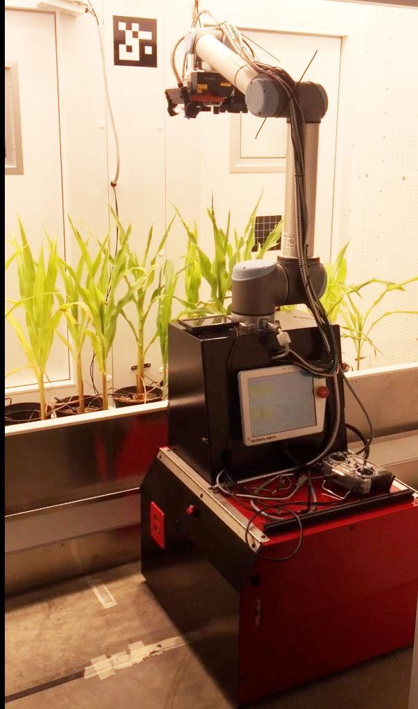 A robotic rover in front of plants