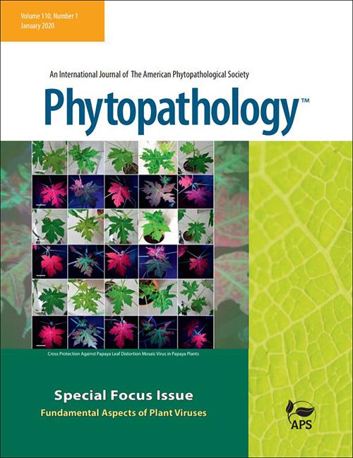 Phytopathology Focus Issue Cover