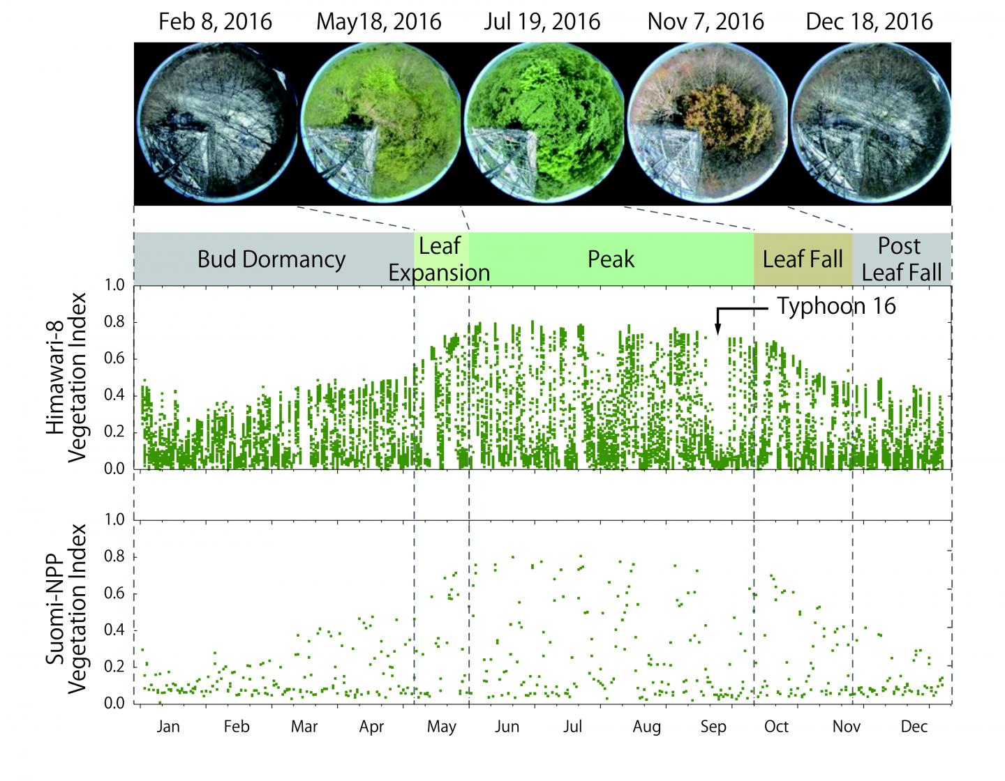 Land Monitoring