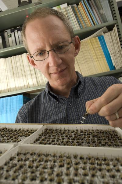 Rufus Isaacs, Michigan State University