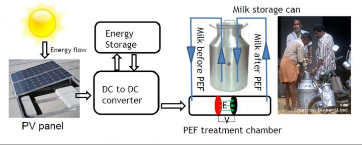 Pulsed Electric Field Processing