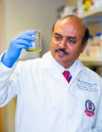 Rajkumar Lakshmanaswamy, Ph.D., Texas Tech University Health Sciences Center El Paso