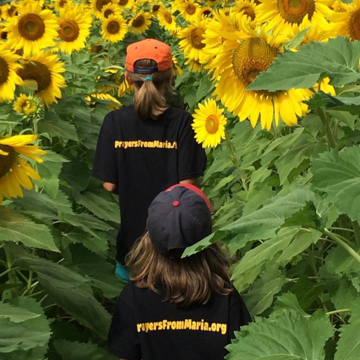 The Sunflower Soiree