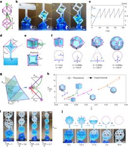 The working mechanism of liquid capture–release by CPFs.