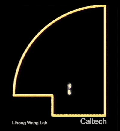 Chaotic optical cavity