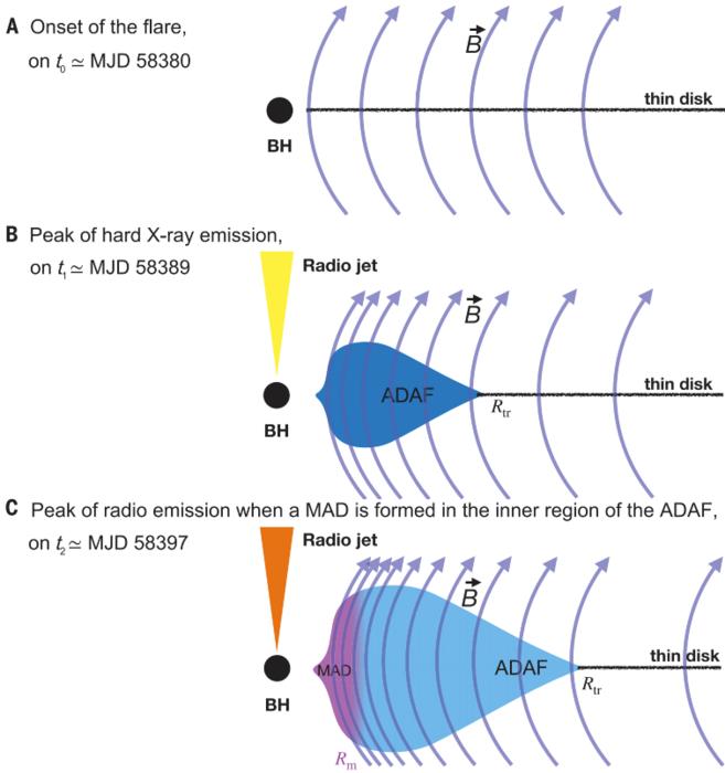 Schematic representation of accretion flow, magnetic field, and jet evolution