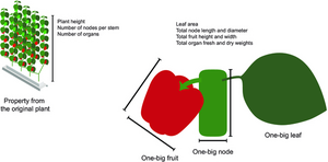 Fig. 2. Modeling concept.