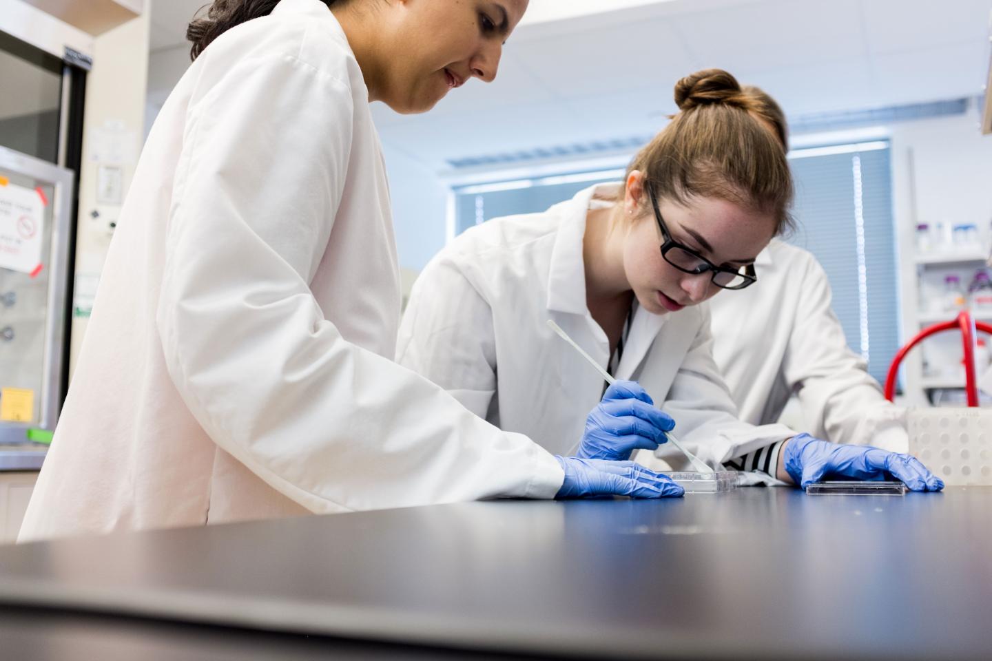 Research in the Rensselaer Center for Biotechnology and Interdisciplinary Studies