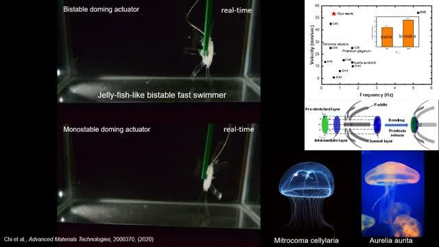 Soft robotics and the jellyfish-bot