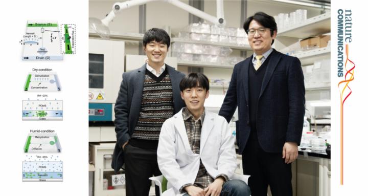 Professor Taesung Kim