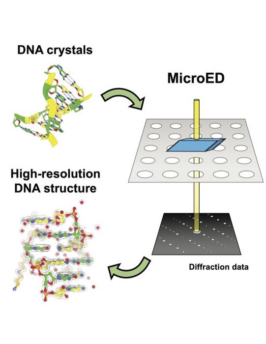 MicroED of DNA