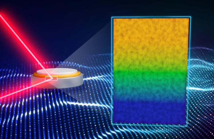 Neutrons peer into a solid-state battery