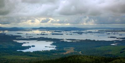 Fungi Revealed as Major Player in Boreal Forests (2 of 12)