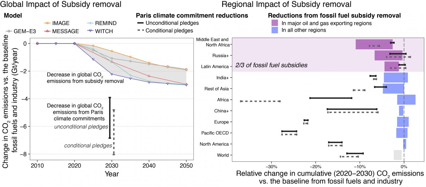 Impact of Subsidy Removal on CO2 Emissions