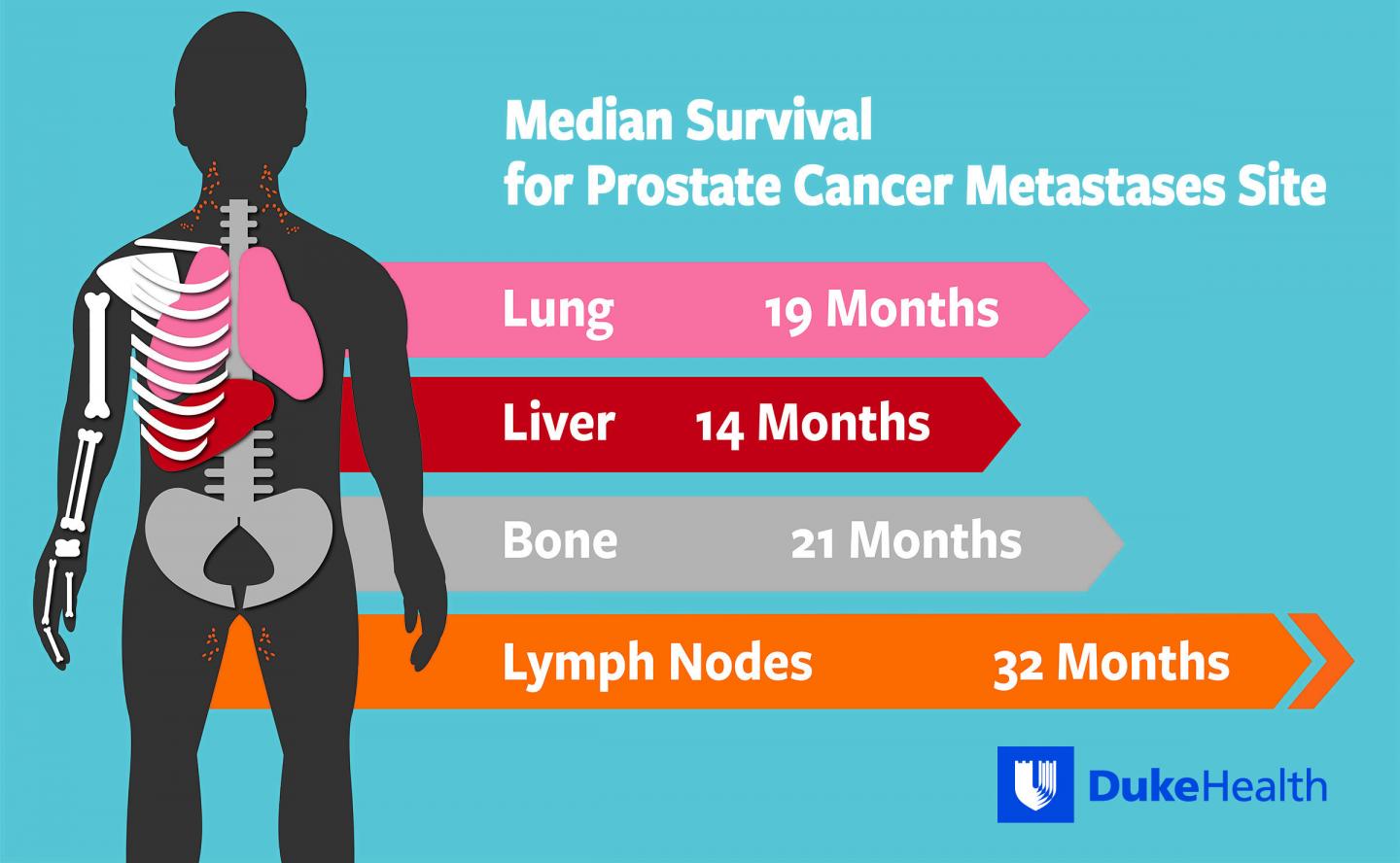 Median Survival for Prostate Cancer Metastases Site