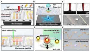 Figure 1: Micro-patterning Process of Conductive Hydrogel using Laser