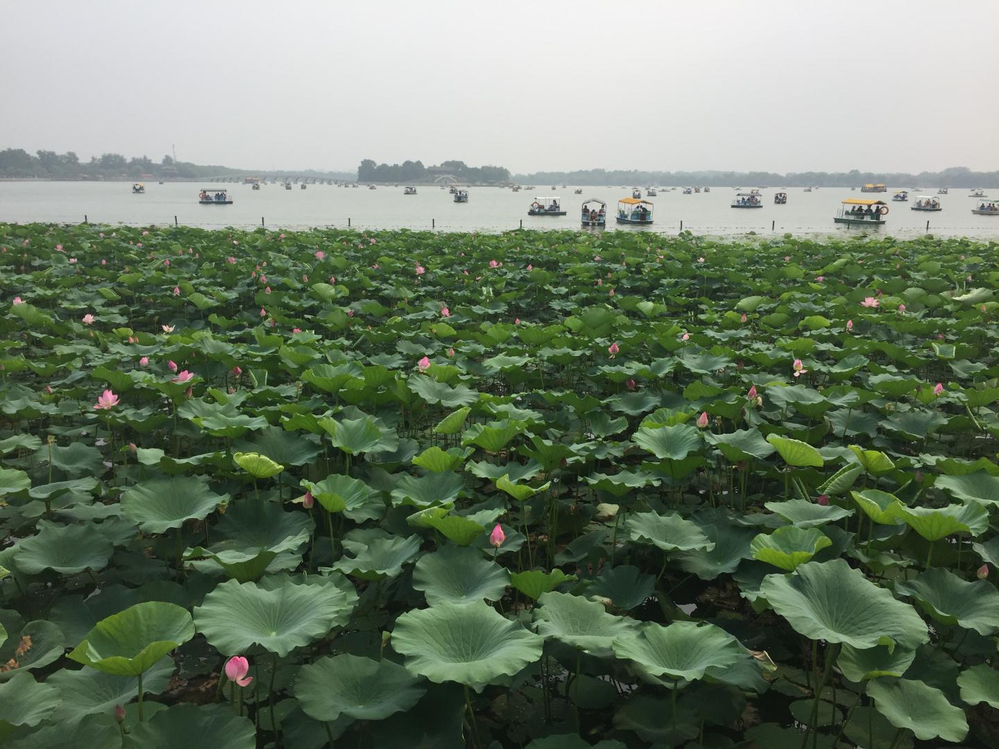 Boats on a Lake in Northwest Beijing