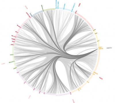 Scientists Assemble Genetic Playbook for Leukemia
