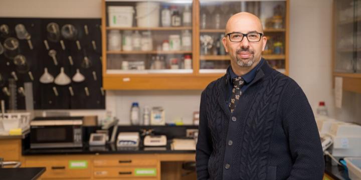 Amro Zayed, York University