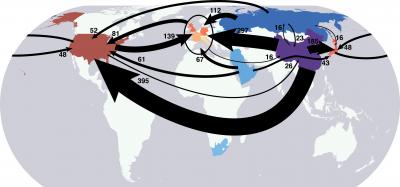 Emissions Embodied in Trade from Dominant Net Exporting Countries