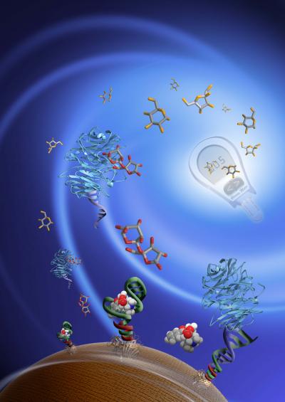 Functional DNA and Glucose Meters