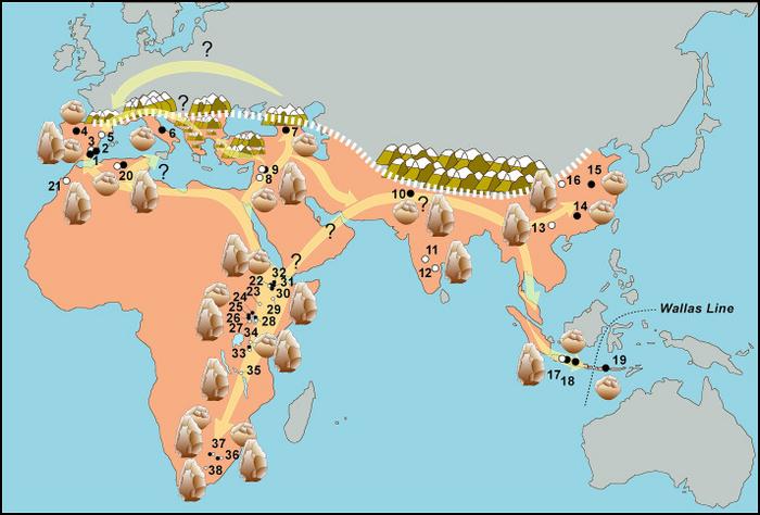 New geological datings place the first European hominids in the south of the Iberian Peninsula 1.3 million years ago