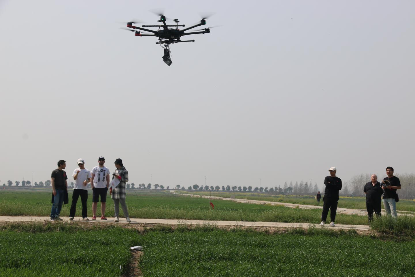 Newton Funding to Bolster China's Long-Term Growth and Global Economy with Agri-Tech Innovation