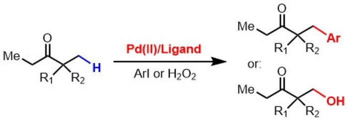 Scripps Research chemists unlock the potential of ketone and ester molecules, paving the way for greener and more efficient drug development