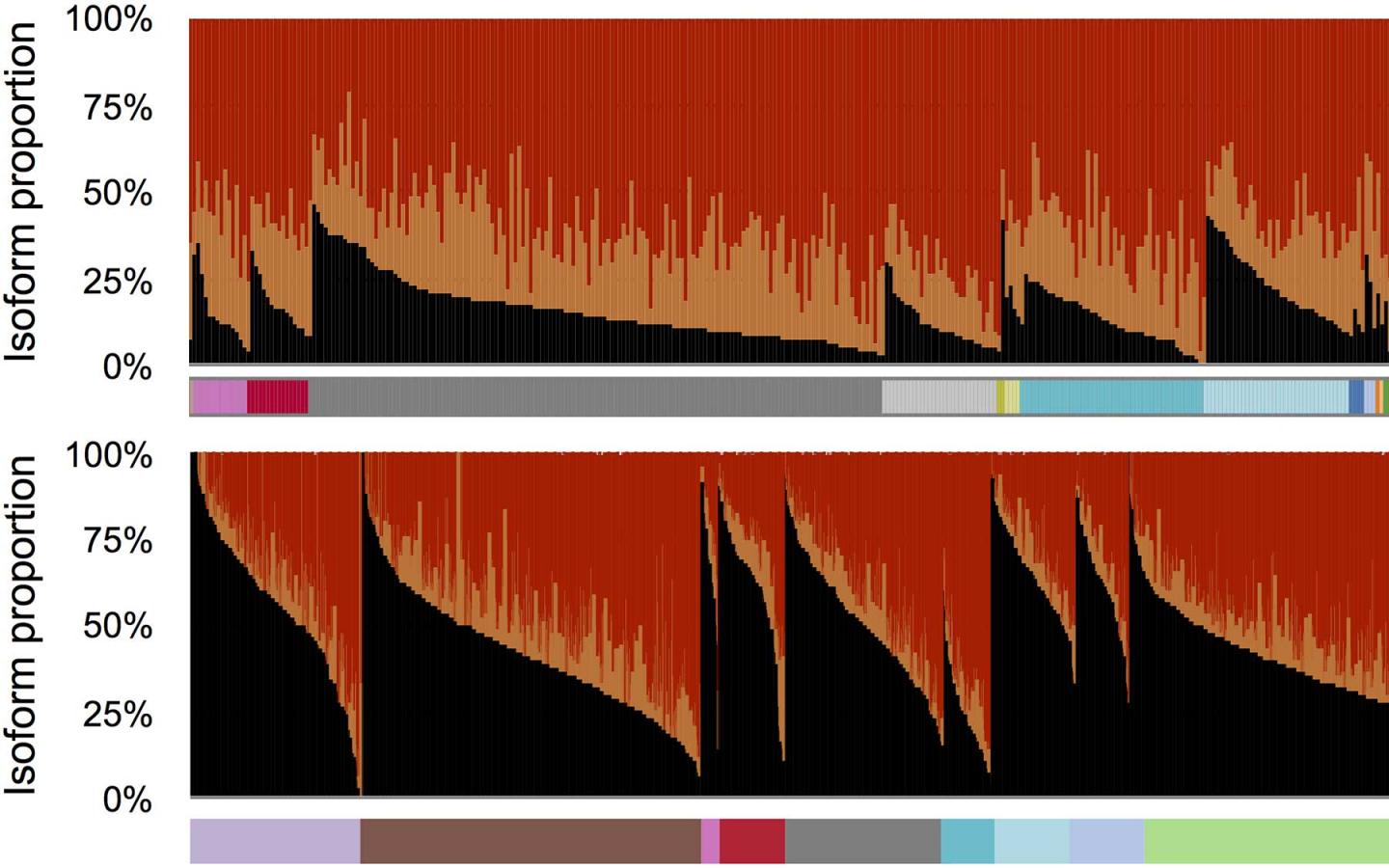 Profile of a Cancer Biomarker