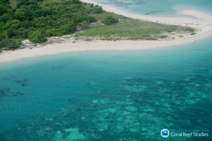Widespread Bleaching is the New Norm for Corals of the GBR