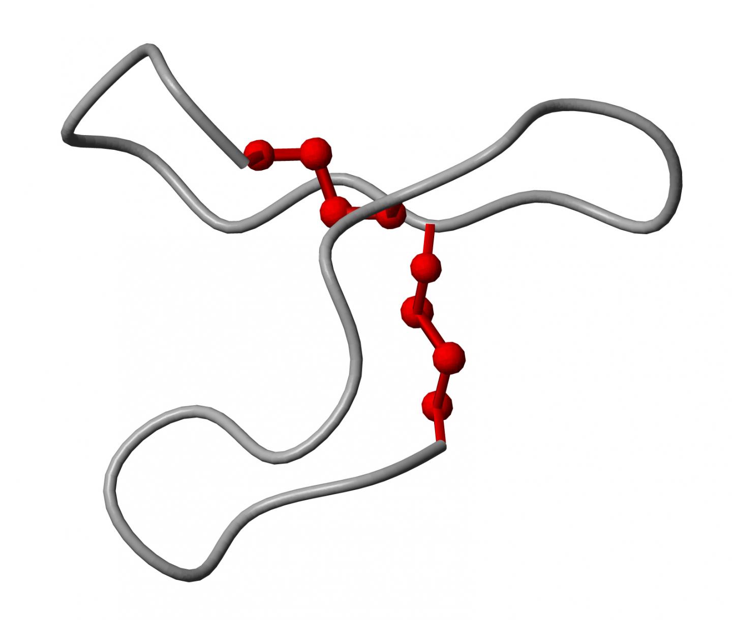 Molecules (1 of 2) [IMAGE] | EurekAlert! Science News Releases
