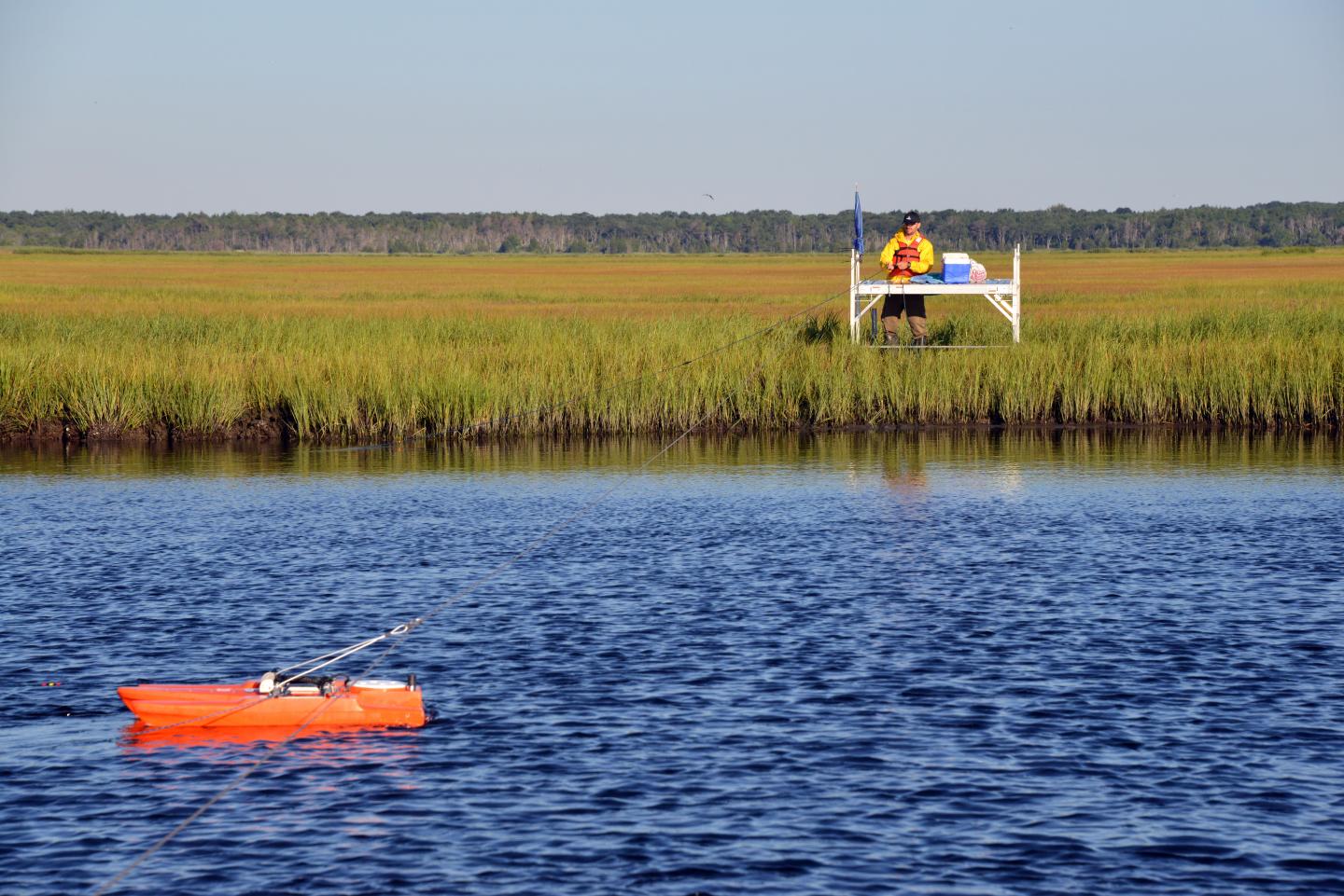 Measuring Vital Sediment Flow in a NJ Coastal Marsh