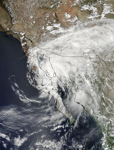 MODIS Image of Odile