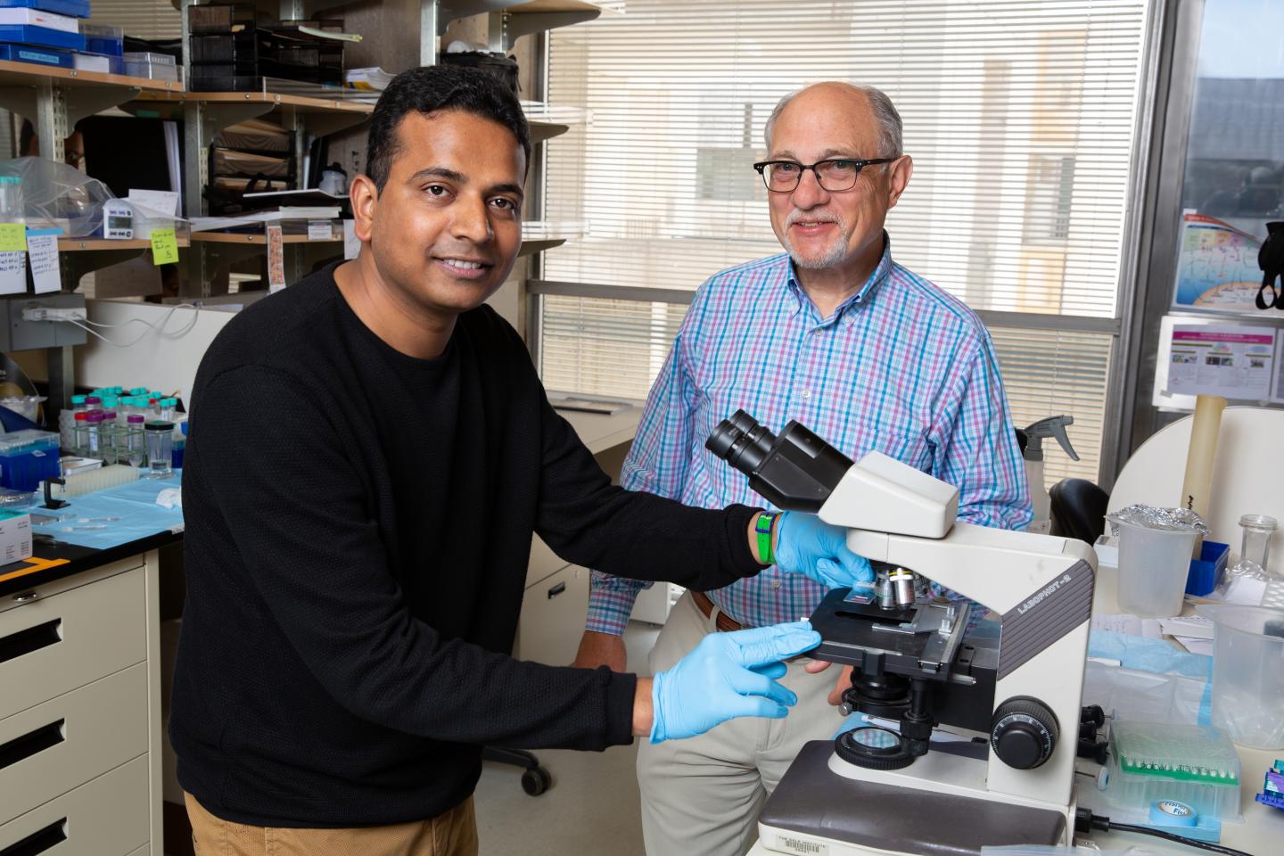 Salk Institute -- Wahl and Giraddi