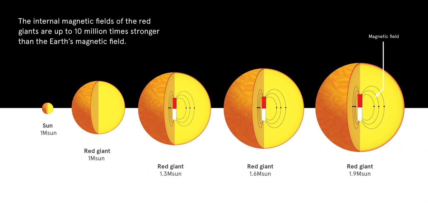 Magnetic Fields Found in Stars Slightly More Massive than the Sun