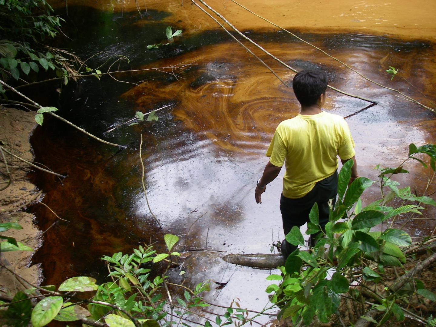 Amazonian Contamination