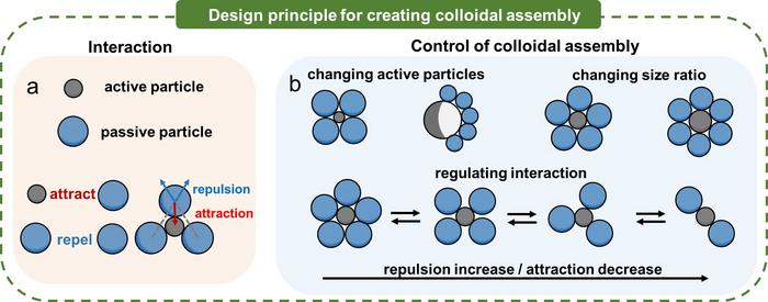 Schematic illustration of designing principle for creating reconfigurable colloidal assembly