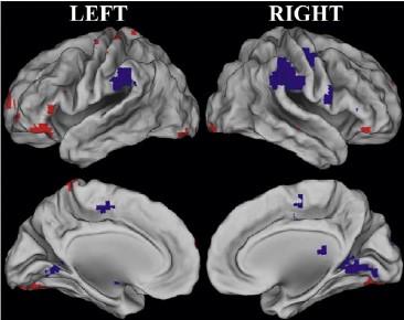 Middle-Age Memory Decline