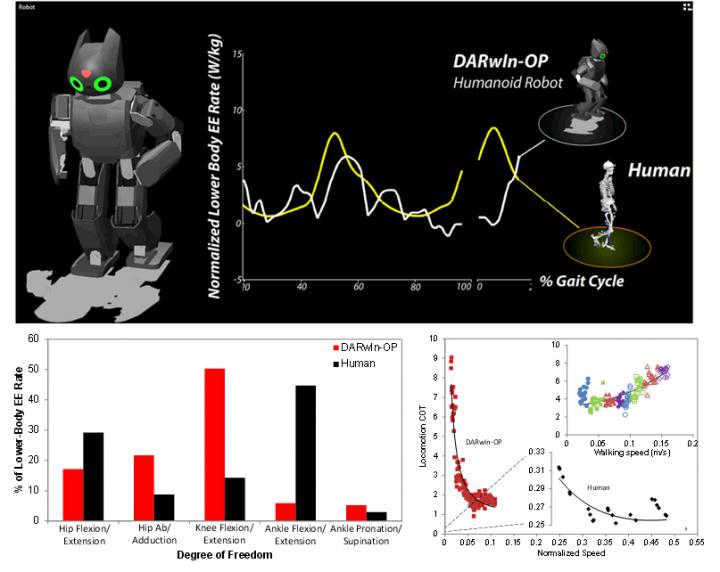 Teaching Robots to Walk Efficiently