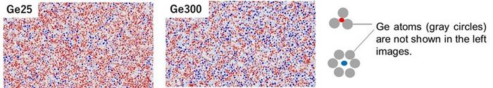 Distribution of atomic rings extracted from TEM images