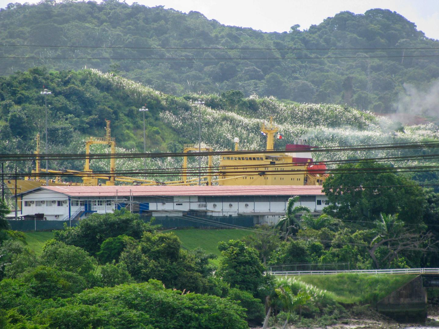 Boat leaving Miraflores locks with Saccharum behind