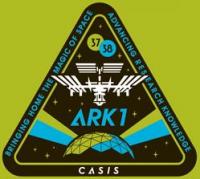 ARK 1 Patch