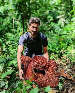 Chris Thorogood with Rafflesia arnoldii