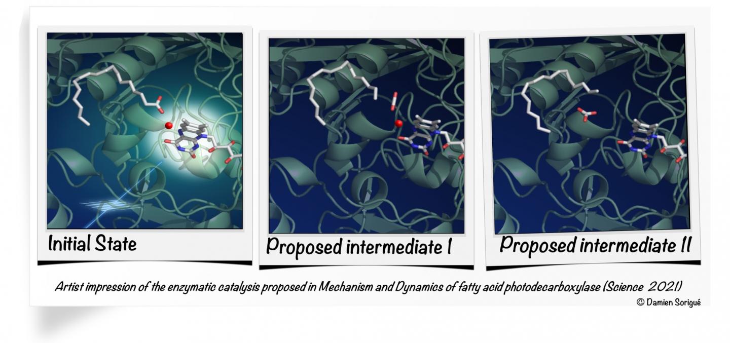 Artist impression of the enzymatic catalysis