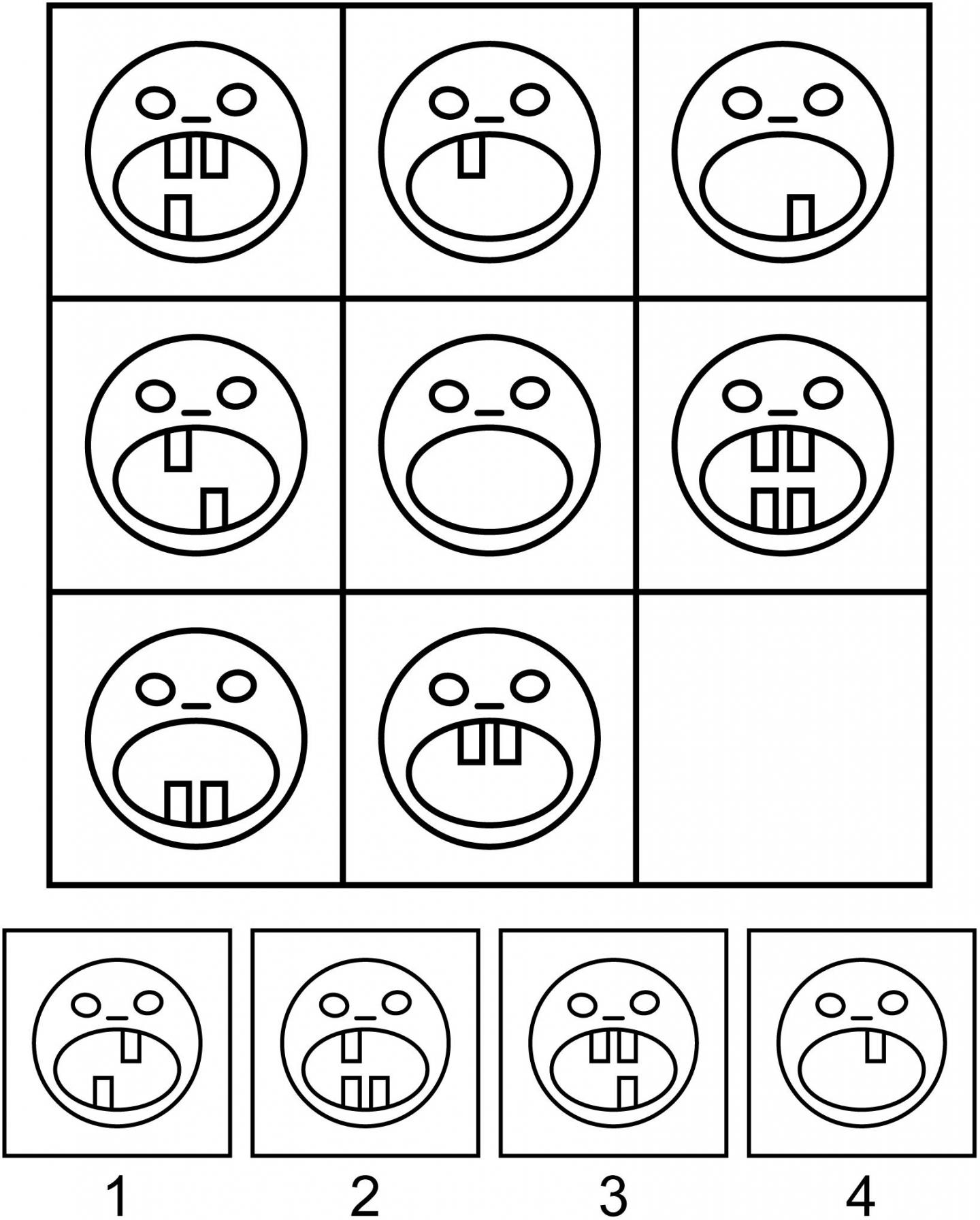 A Sample Raven-Like Matrix Problem