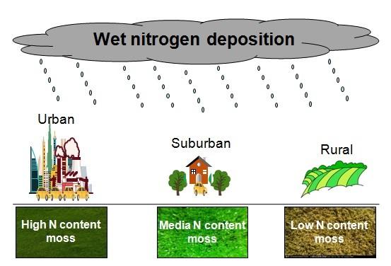 Wet Deposition