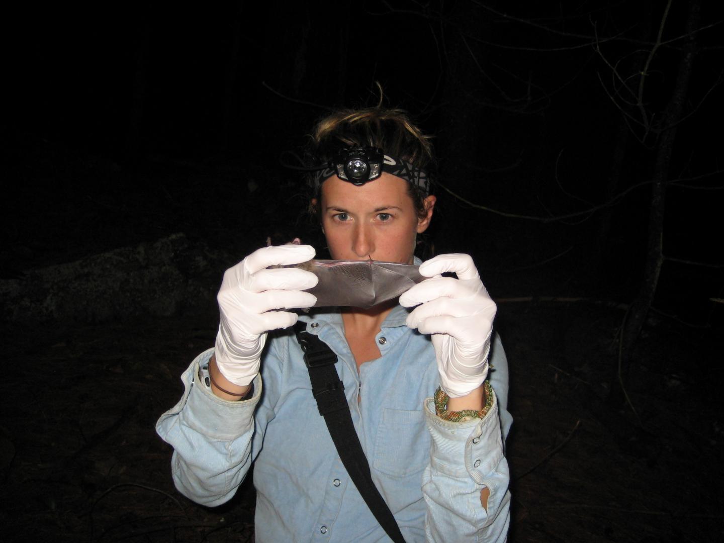 Kate Langwig with Bat