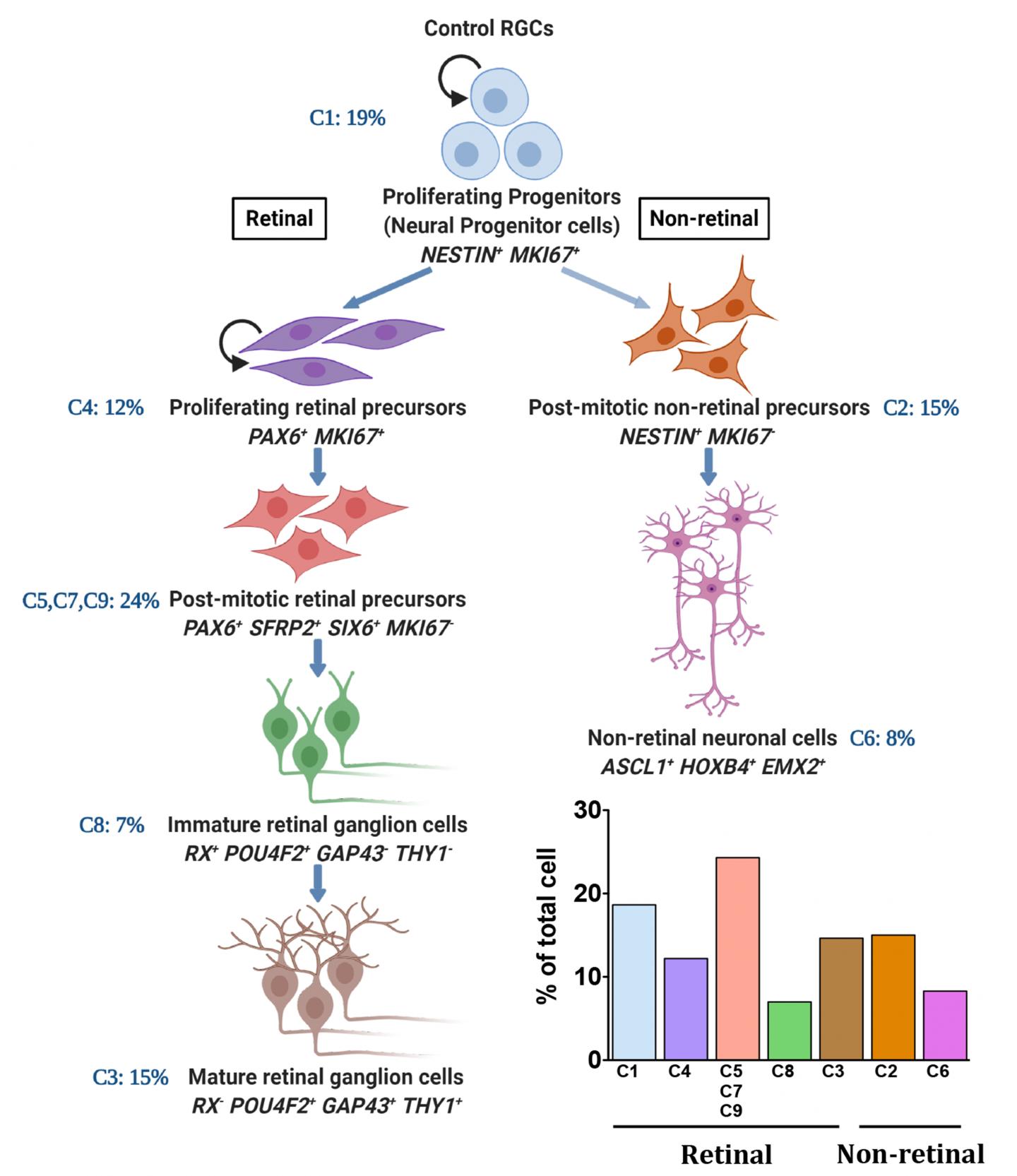 Graphical Abstract