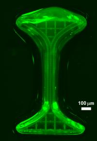 Flow Channels